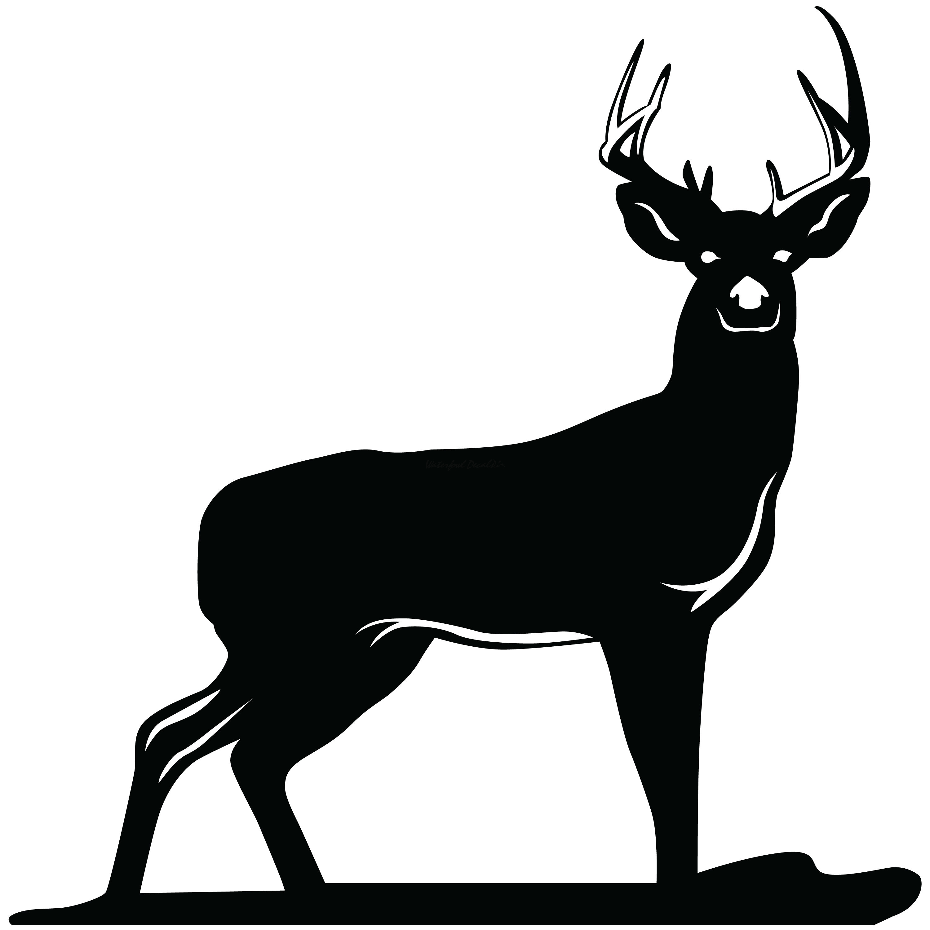 Buck clipart white tailed deer. Whitetail decal sticker