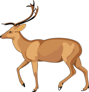 Deer clipart walking. Free cliparts download clip