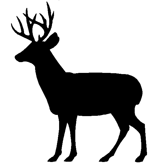 Elk clipart wild animal. Deer head silhouette clip