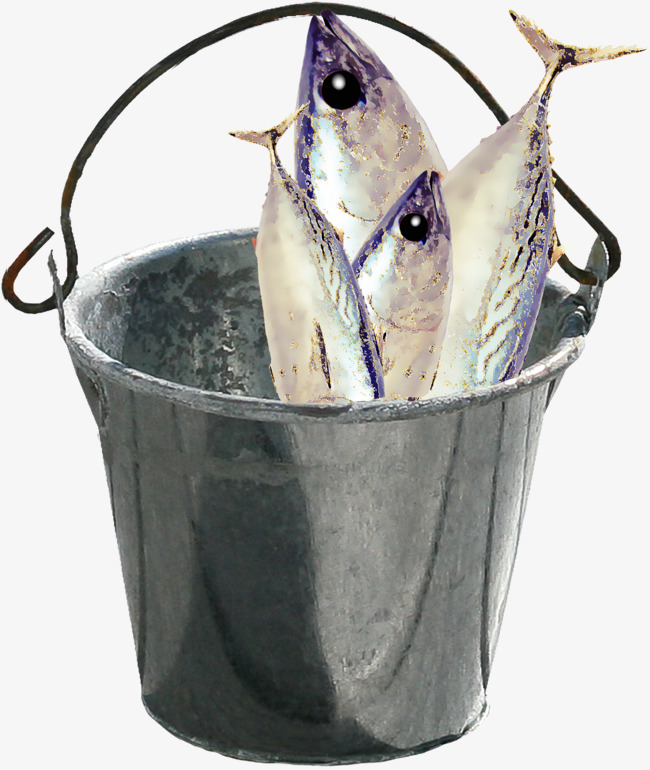 Drum fish png image. Bucket clipart fishing
