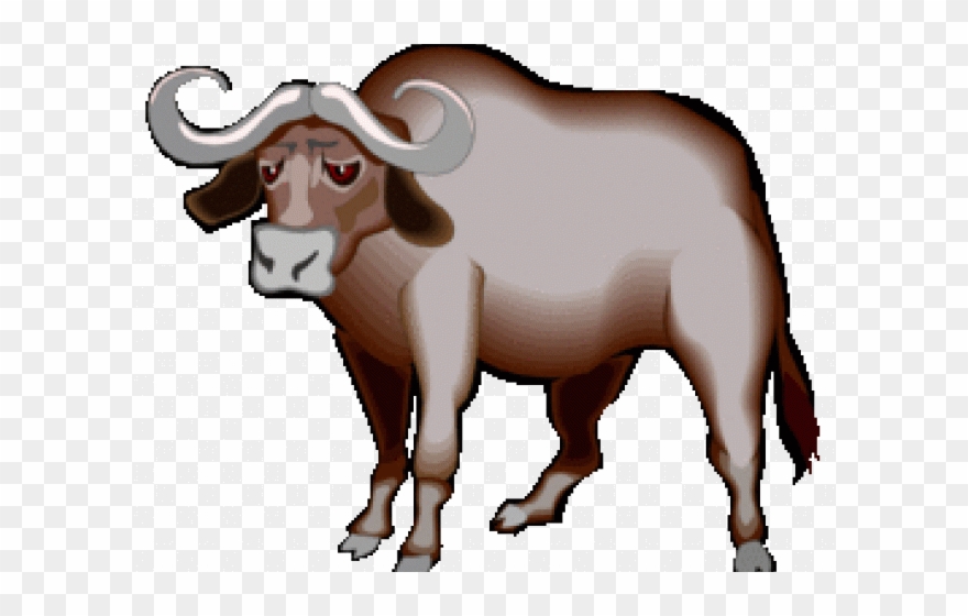 Buffalo clipart african buffalo. Cape water clip 