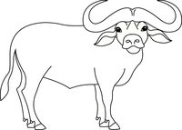 Buffalo clipart african buffalo. Search results for clip