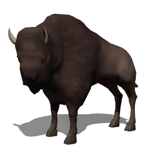 buffalo clipart animation