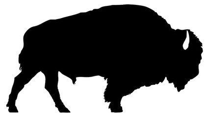 buffalo clipart background