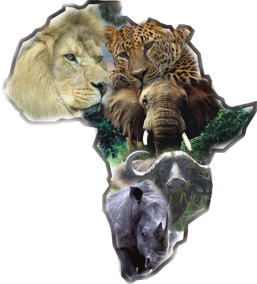Top tourist attractions in. Buffalo clipart big 5