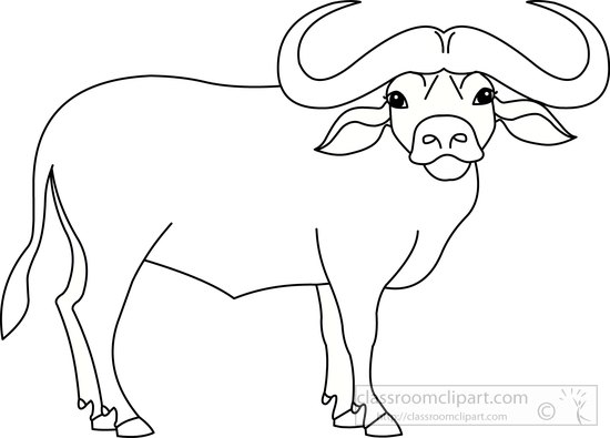 Buffalo clipart black and white. Free cliparts download clip