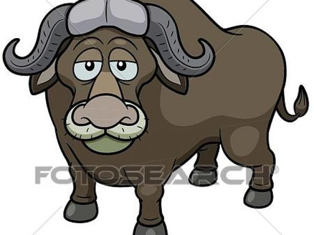 buffalo clipart bufalo