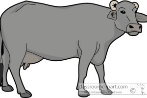 buffalo clipart carabao