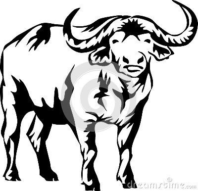 buffalo clipart carabao