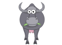 Buffalo clipart cow. Search results for gras