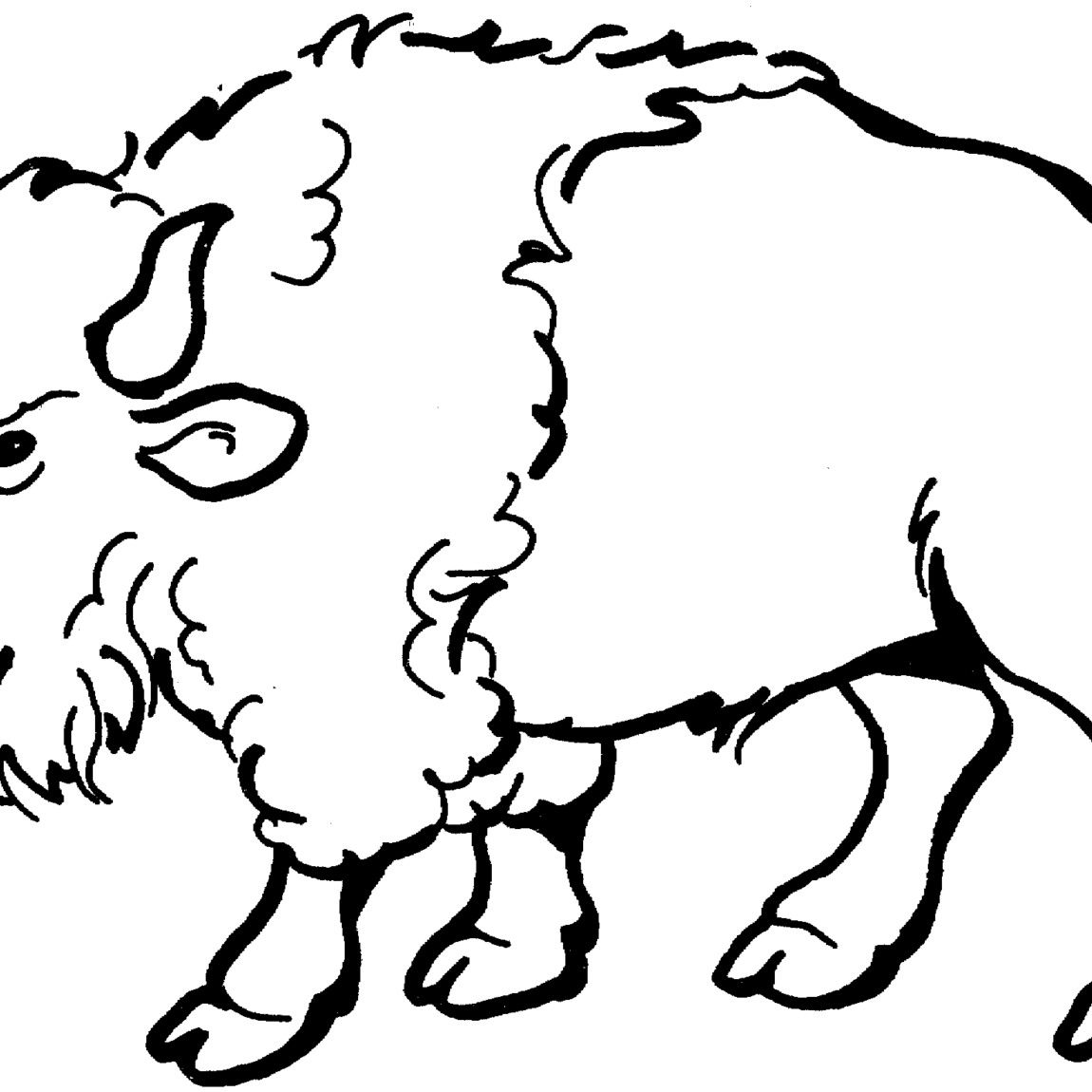 Cape free download best. Buffalo clipart drawing