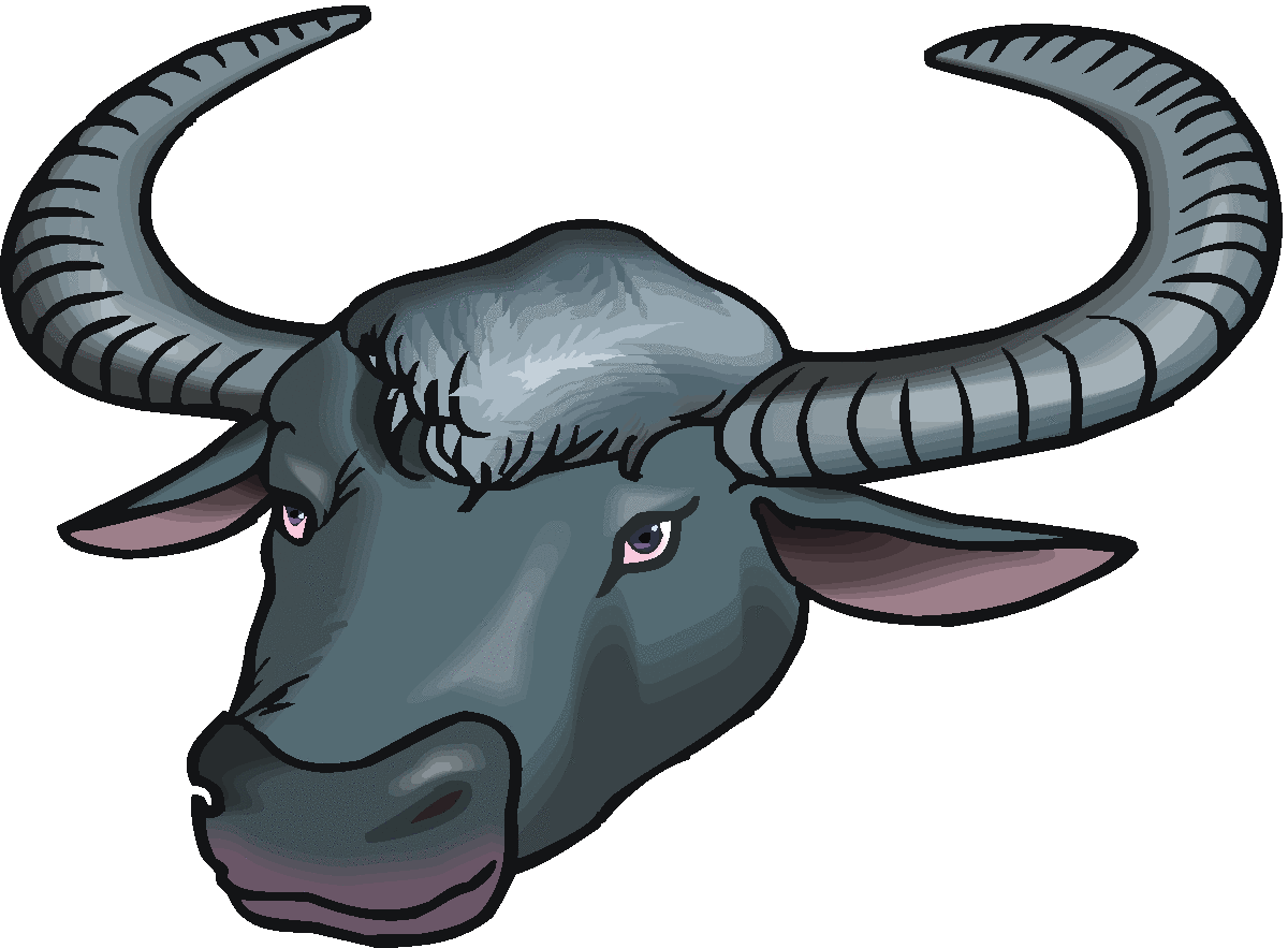 goat clipart female buffalo