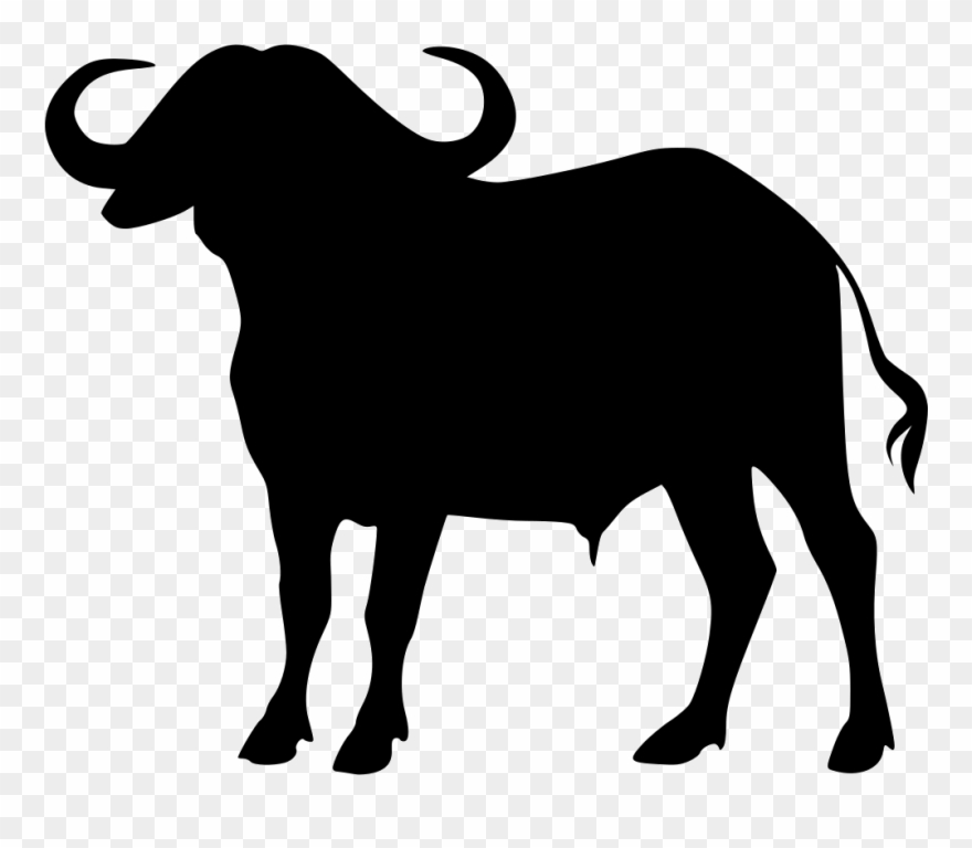 Buffalo clipart line. Bull bovine clip art