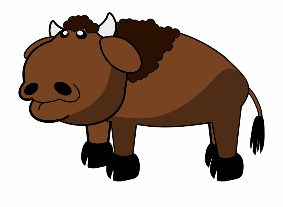 buffalo clipart mammal