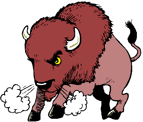 buffalo clipart mascot