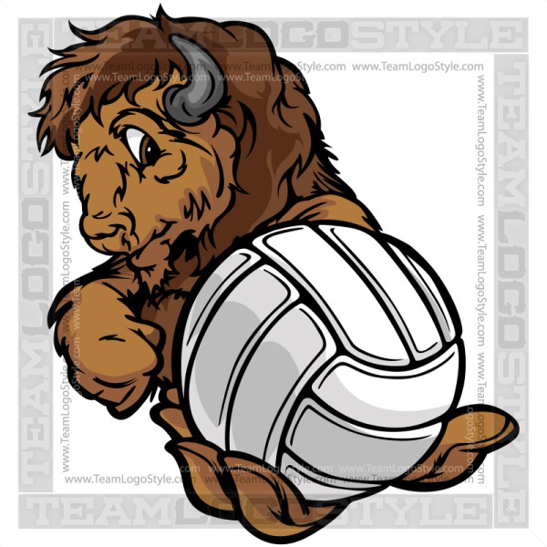 Buffalo clipart mascot. Holding volleyball vector