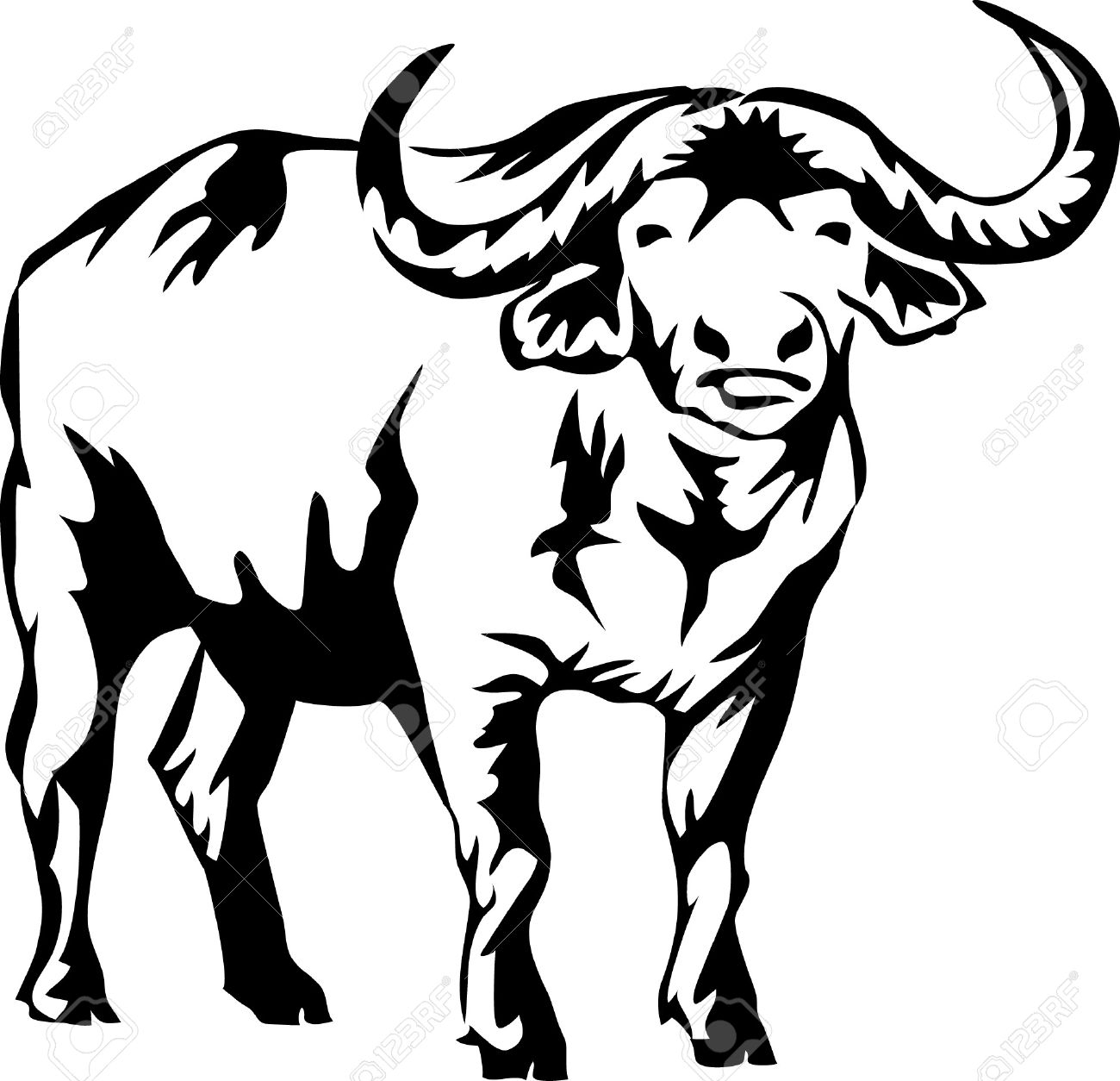 buffalo clipart sketch