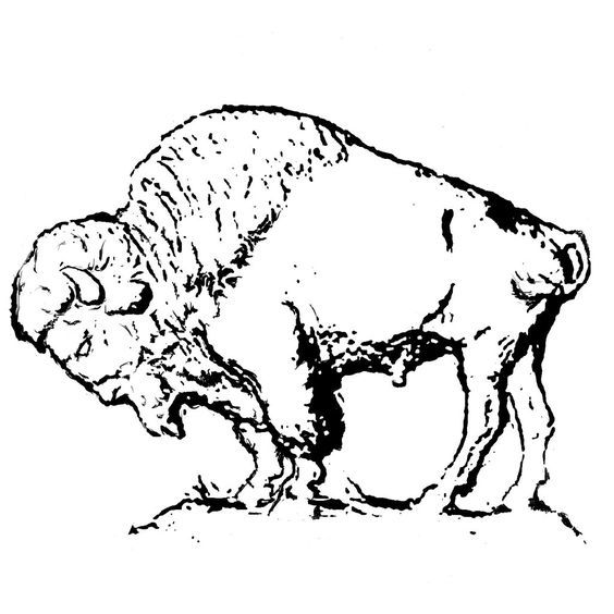 Bison clipart sketches. Buffalo art clip line