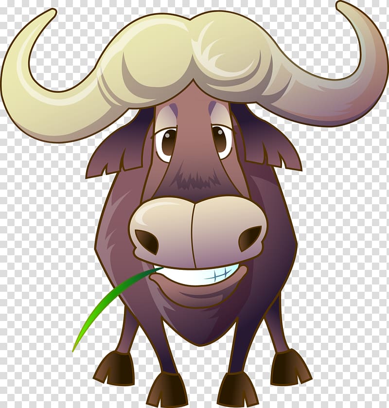 ox clipart tamaraw