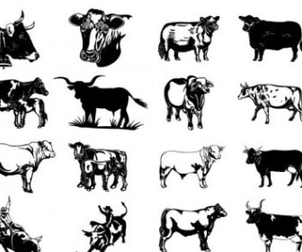 Buffalo clipart vector. Cow and collection all