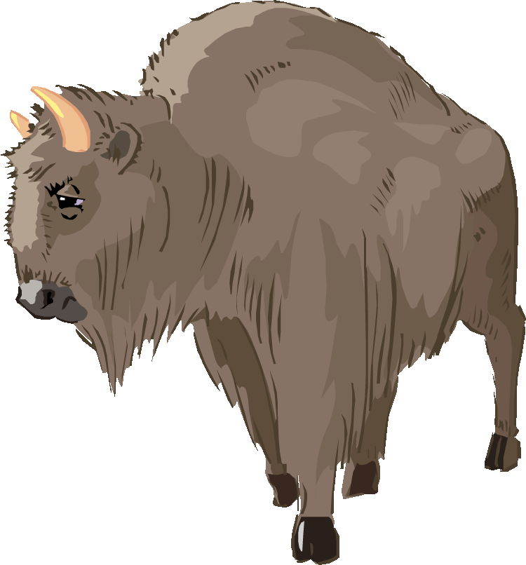 Yak clipart bison. Free buffalo and