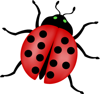 insects clipart red bug