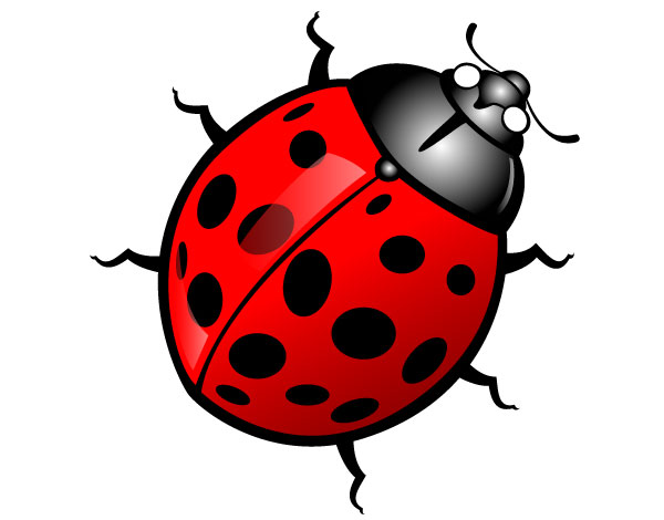 bugs clipart red bug