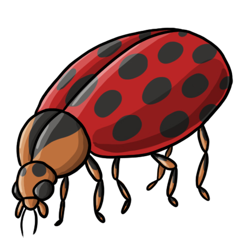 bug clipart aphid