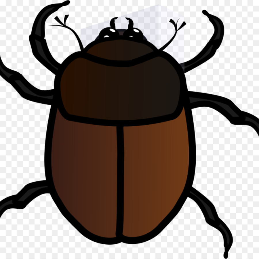 bugs clipart beetle