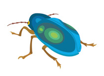 bug clipart beetle