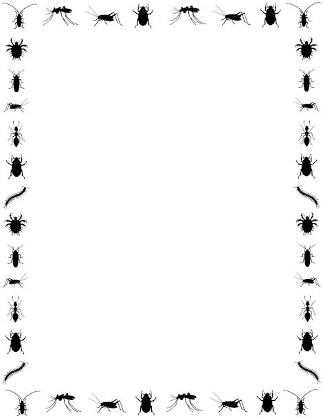 insect clipart borders