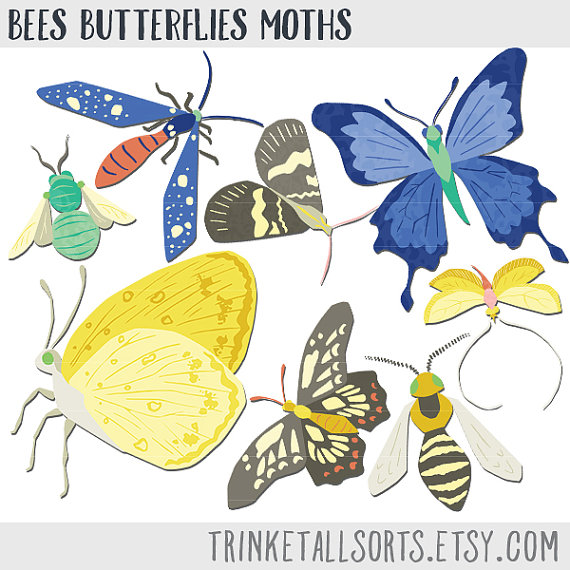 Bees clipart butterfly. Butterflies moths bee moth