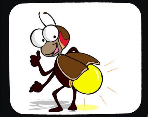 bug clipart firefly