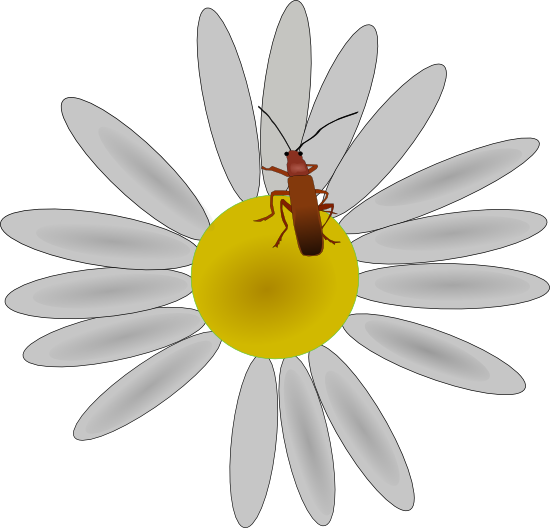 bug clipart flower