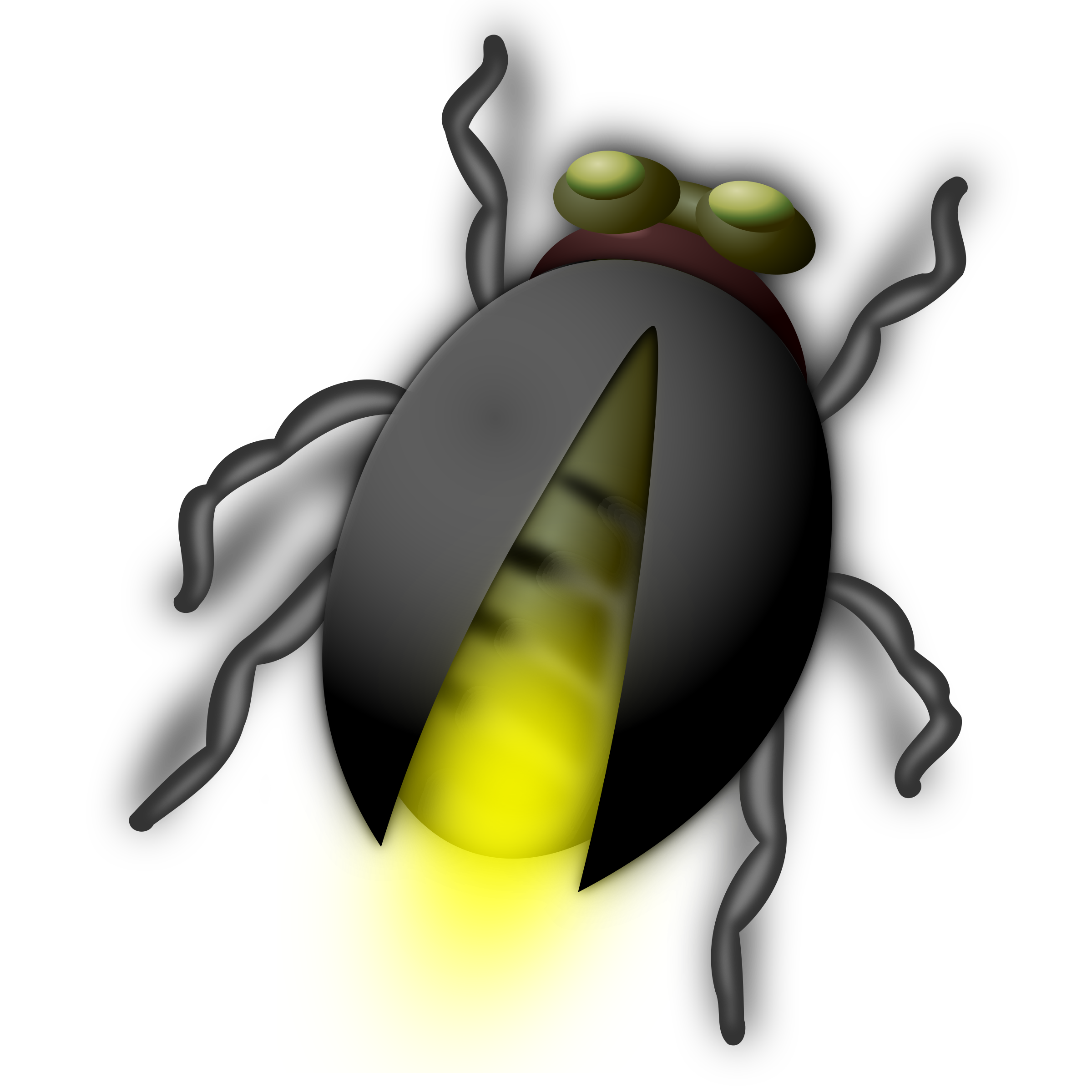 bug clipart glow worm