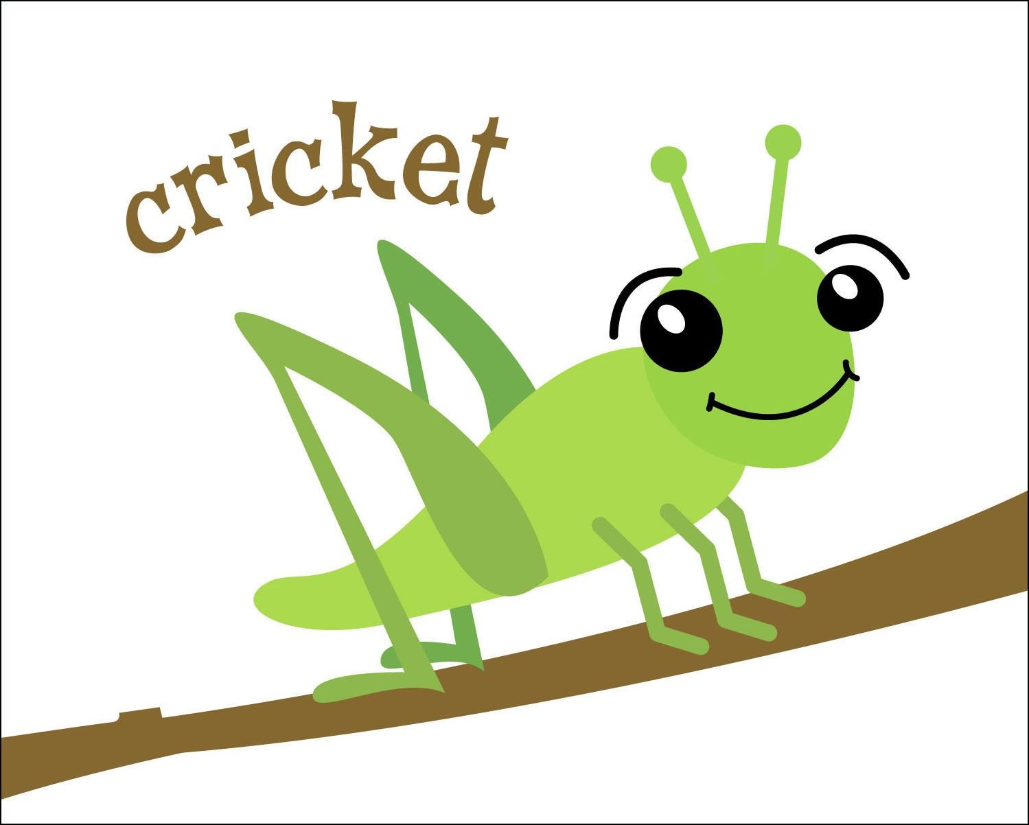insect clipart cricket