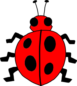 bug clipart ladybug