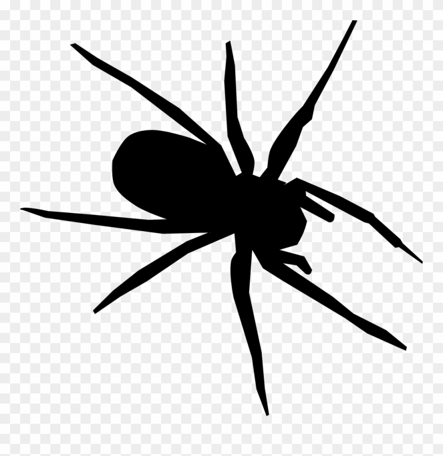 bugs clipart spider
