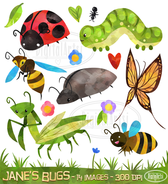 Bugs ladybug and digital. Bug clipart watercolor