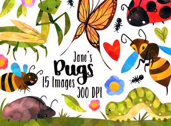 Bugs by digitalartsi teachers. Bug clipart watercolor