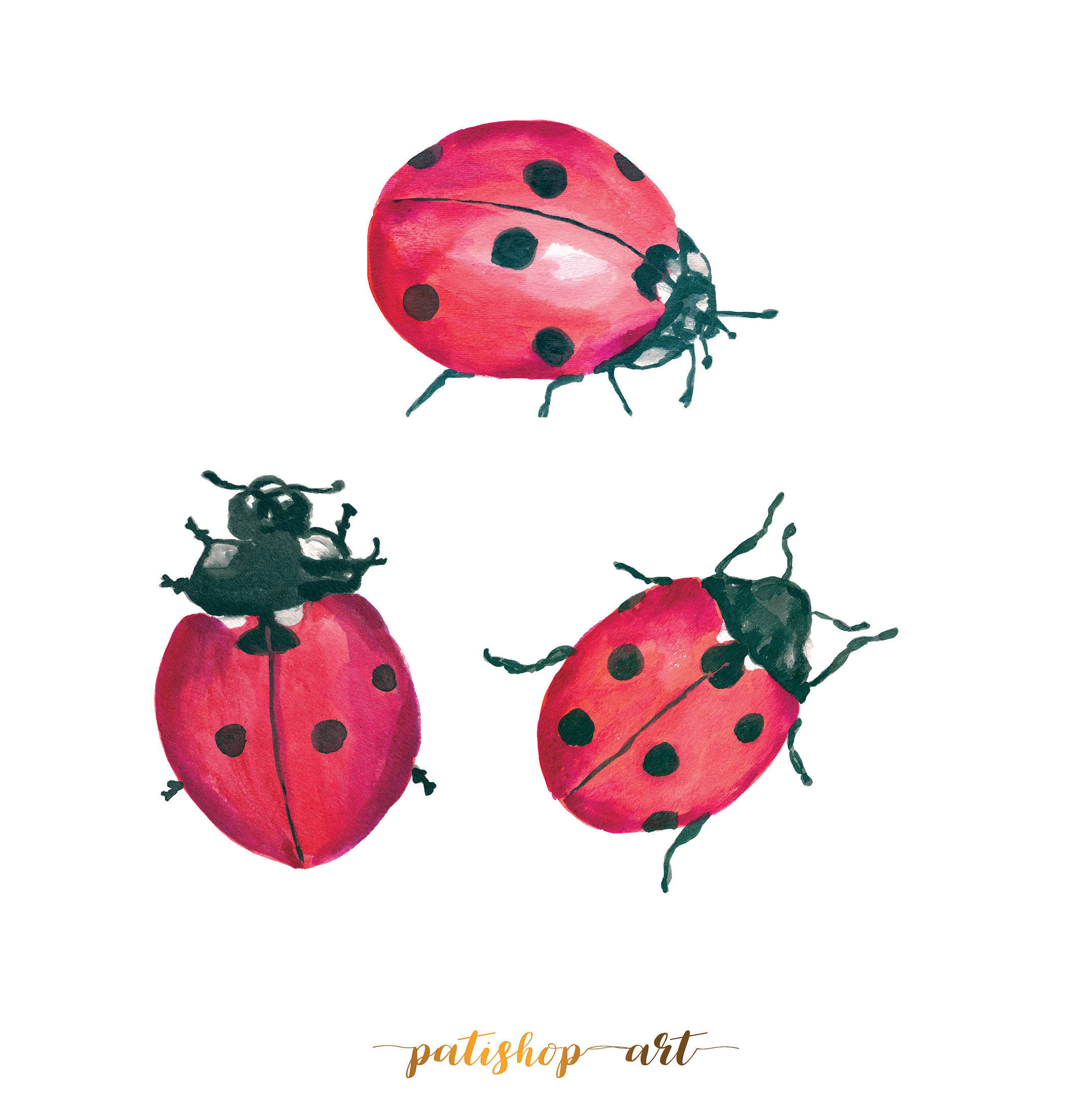 Bug clipart watercolor. Ladybug hand painted this