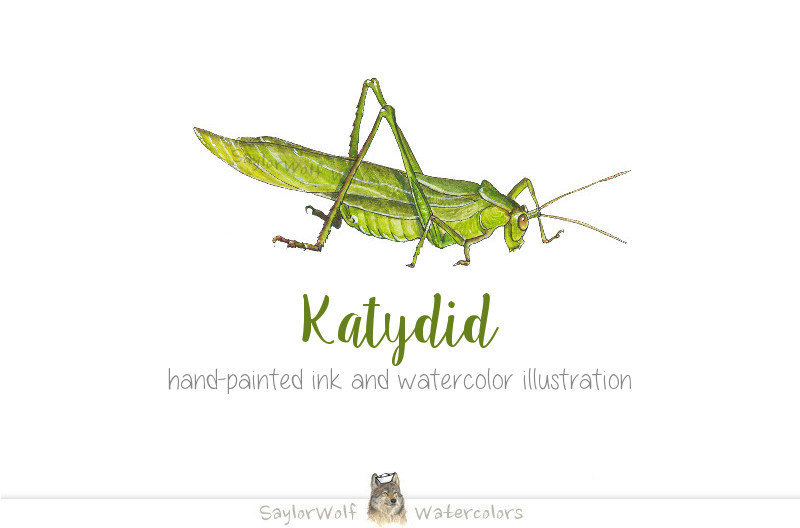 Bug clipart watercolor. Digital art for all