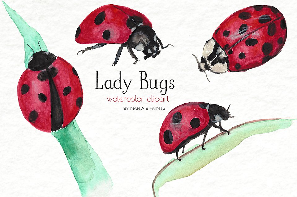 Bug clipart watercolor. Clip art lady bugs