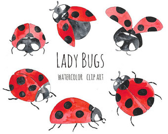 bugs clipart watercolor