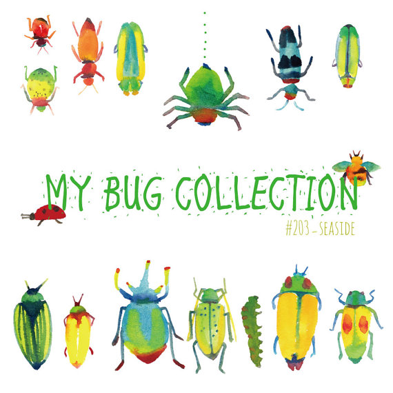 My collection clip art. Bug clipart watercolor