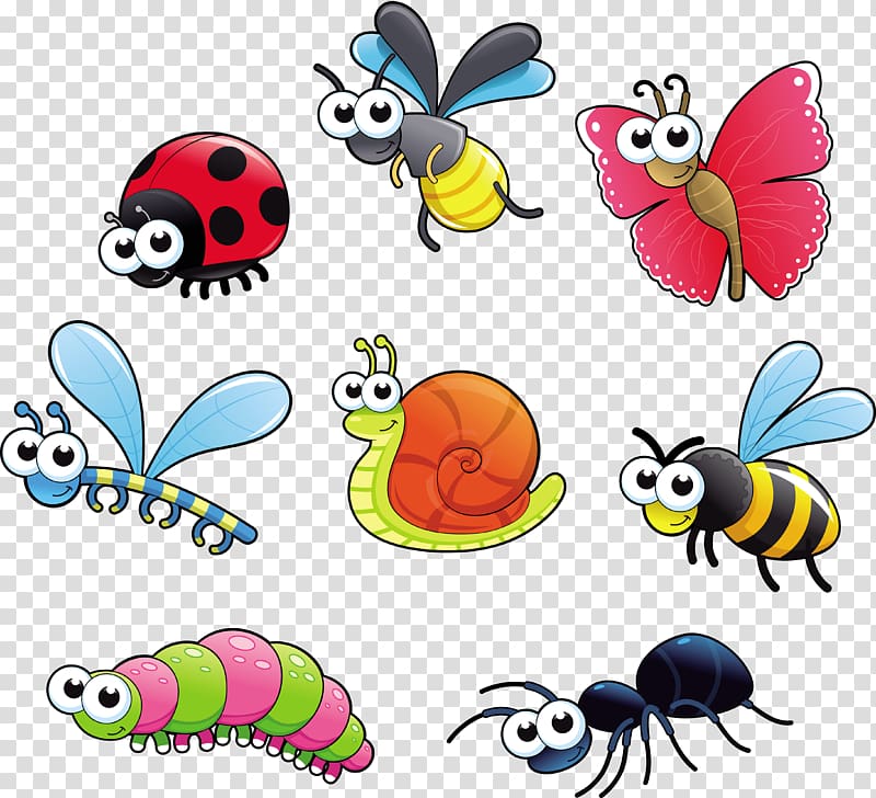 insect clipart color