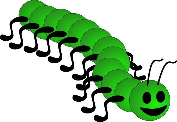 insects clipart centipede