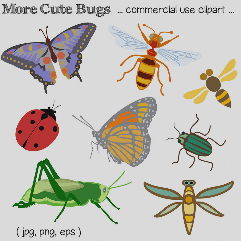 bugs clipart clip art