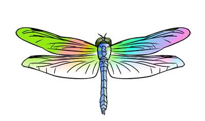 Clip art butterflies pinterest. Dragonfly clipart