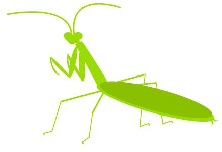 bugs clipart praying mantis